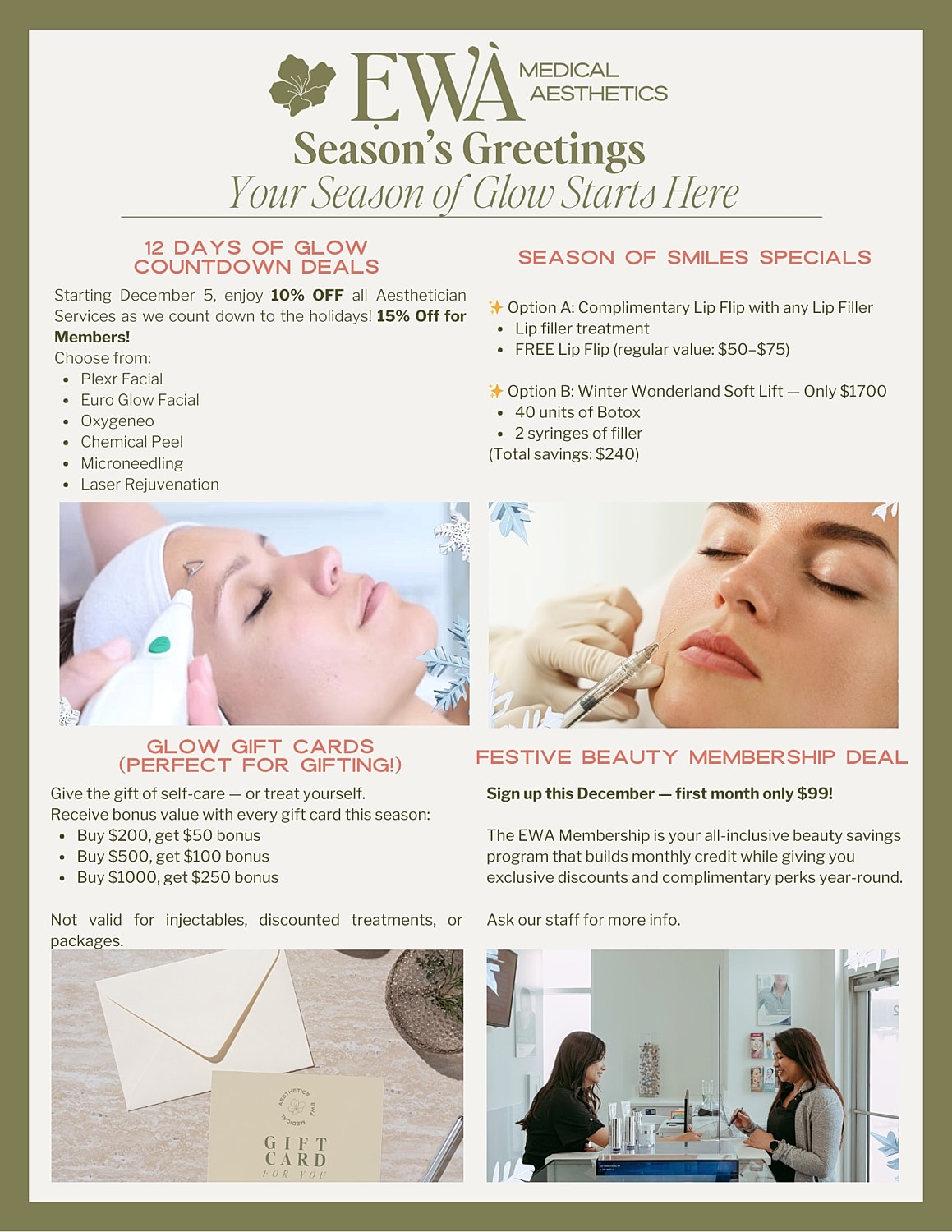 Aesthetic promotions and services for holiday season.